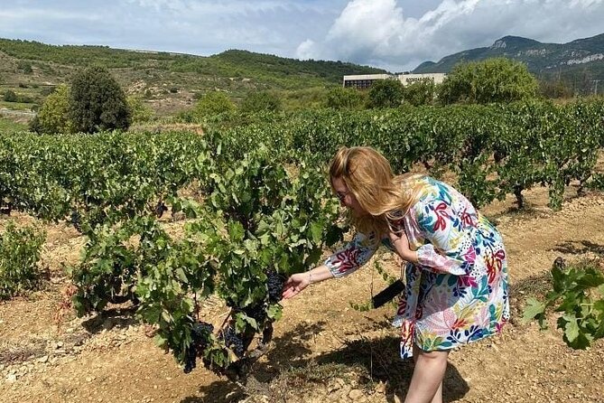 Two Winerie Visits in La Rioja and Walking Tour of La Guardia - Exploring La Riojas Wine Production