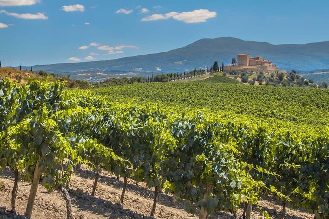Two Winerie Visits in La Rioja and Walking Tour of La Guardia - Common Questions