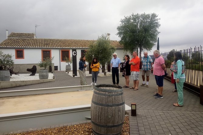 Two Wineries Tour With Wine Tasting - What To Expect