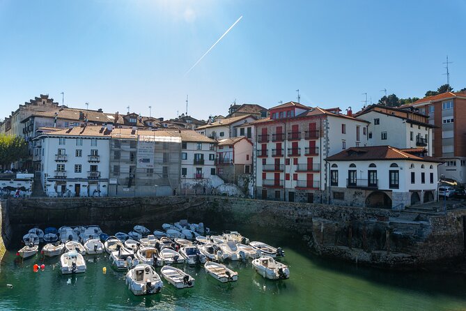 Txakoli, Gaztelugatxe, and Urdaibai - Wildlife and Nature in Urdaibai