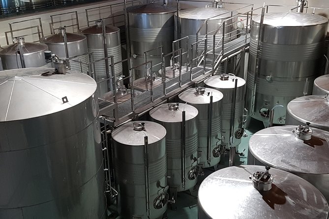 Txakoli Winery Tour Through the Coast From San Sebastian - Questions and Assistance