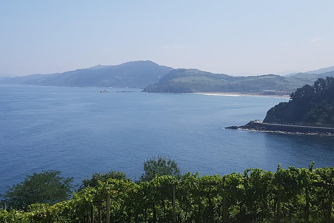 Txakoli Winery Tour Through the Coast From San Sebastian - The Sum Up