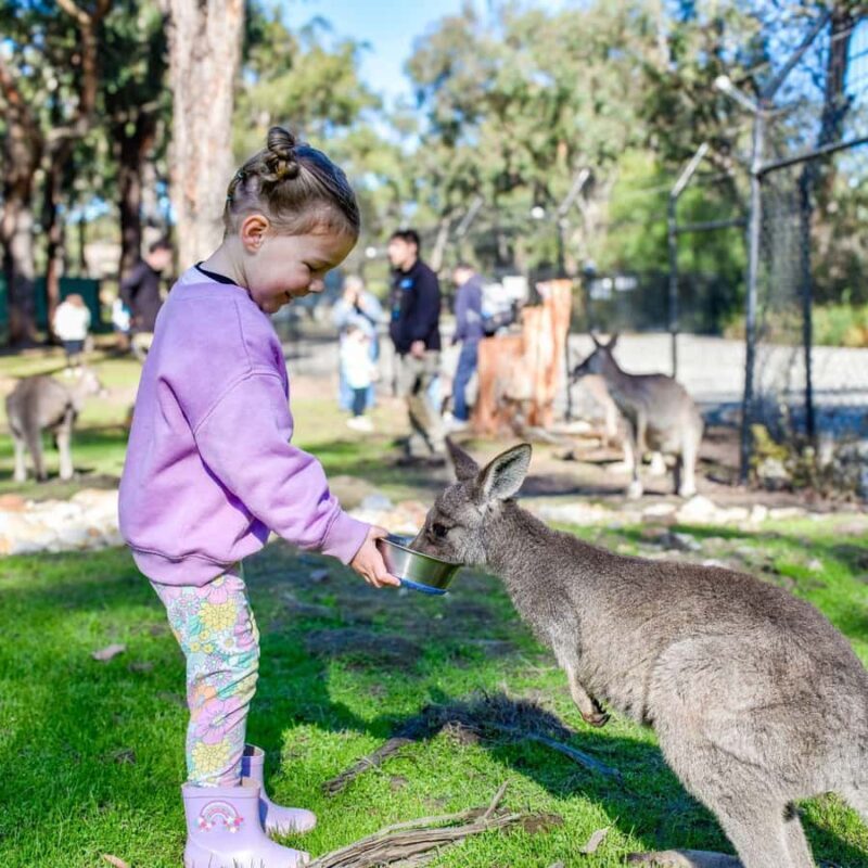 Tynong/Melbourne: Gumbuya World Theme Park Entry Ticket - Good To Know