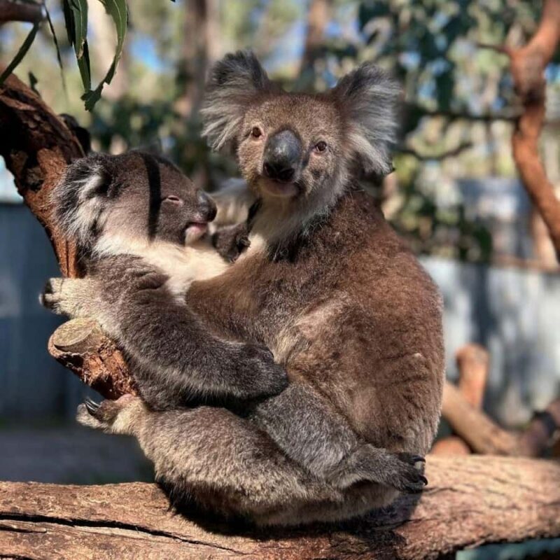 Tynong/Melbourne: Gumbuya World Theme Park Entry Ticket - Who Will Love Gumbuya World?