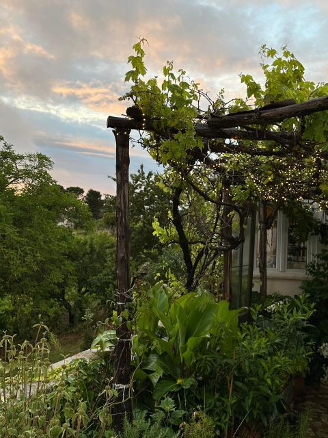 Typical Apulian Dinner in the Garden of Trulletto Malvarosa - Full Description