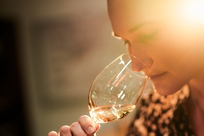 Tyrrells Vat 1 Vertical Wine Tasting in Pokolbin, NSW - Reviews and Support