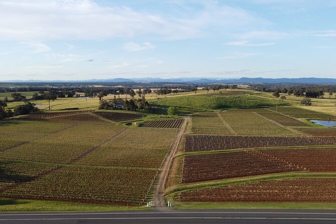 Tyrrells Vat 1 Vertical Wine Tasting in Pokolbin, NSW - Experience the Vertical Wine Tasting