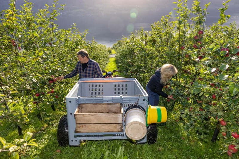 Tyssedal: Cider Tasting Tour - Exploring the Tyssedal Cider Tasting Tour