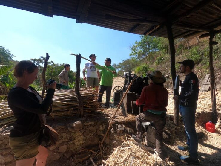 Tzimol, Chiapas: Town Tour, Sugarcane Factory, Magic Forest - Good To Know