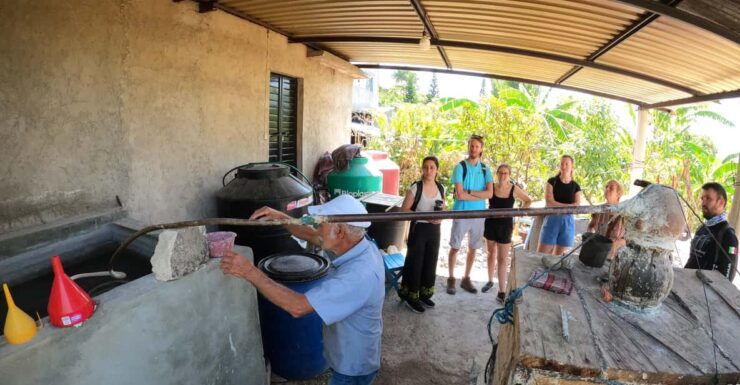 Tzimol, Chiapas: Town Tour, Sugarcane Factory, Magic Forest - Itinerary: Highlights and Schedule
