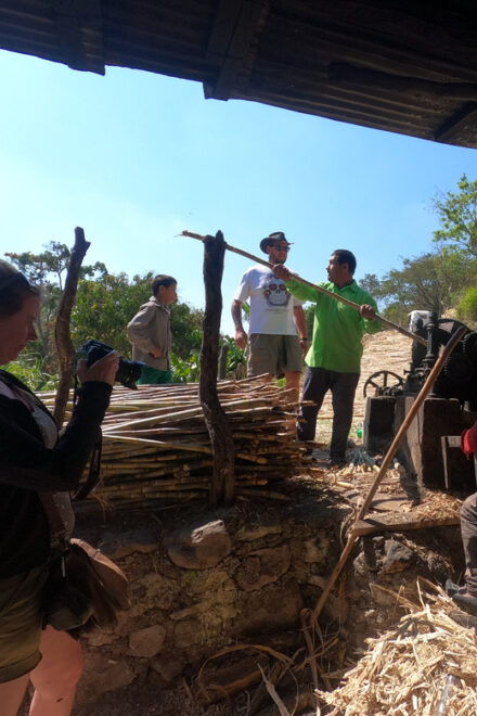 Tzimol, Chiapas: Town Tour, Sugarcane Factory, Magic Forest - Relaxation at Ojo De Agua