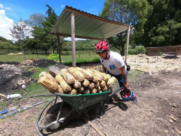 Tzimol, Chiapas: Town Tour, Sugarcane Factory, Magic Forest - Tuk-Tuk or Mountain Bike Ride
