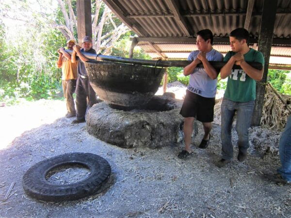 Tzimol, Chiapas: Town Tour, Sugarcane Factory, Magic Forest - Inclusions and Exclusions