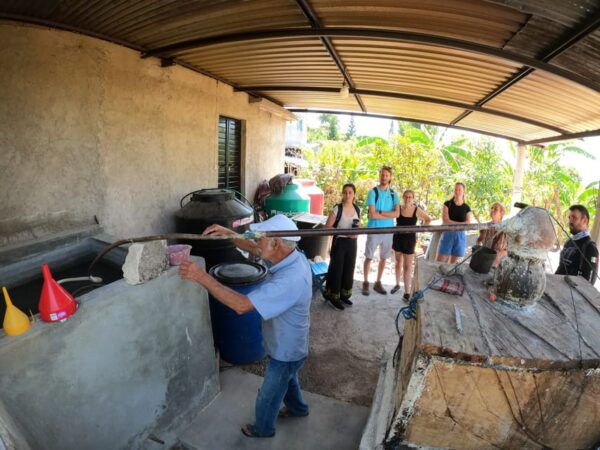Tzimol, Chiapas: Town Tour, Sugarcane Factory, Magic Forest - Accessibility Considerations