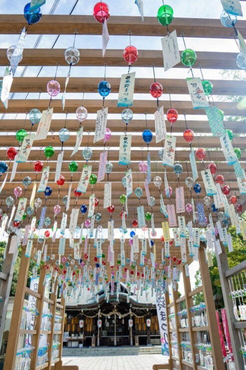 Ube City Experience Tour Yamaguchi Prefecture, Japan - Good To Know