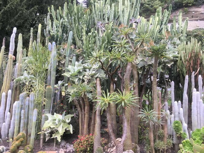 Überlingen: Private city tour with wine tasting - Good To Know