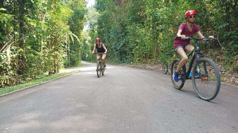 Ubin Bike Trail Adventure - Authentic Local Encounters and Unique Experiences