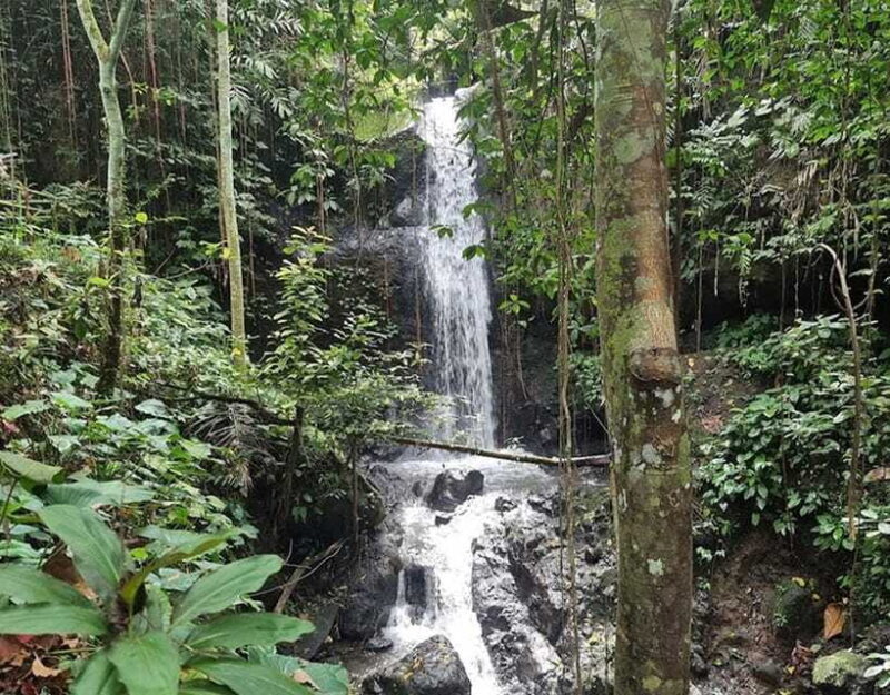 UBUD : 1 day trip tegalalang,temple,goarangrang waterfalls - Final Thoughts