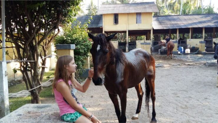 Ubud: 1 Hour Beach Horse Riding With Transfer - Activity Details