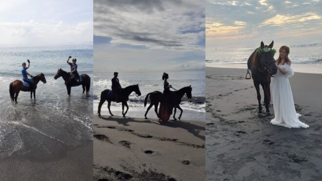Ubud: 1 Hour Beach Horse Riding With Transfer - Experience Highlights