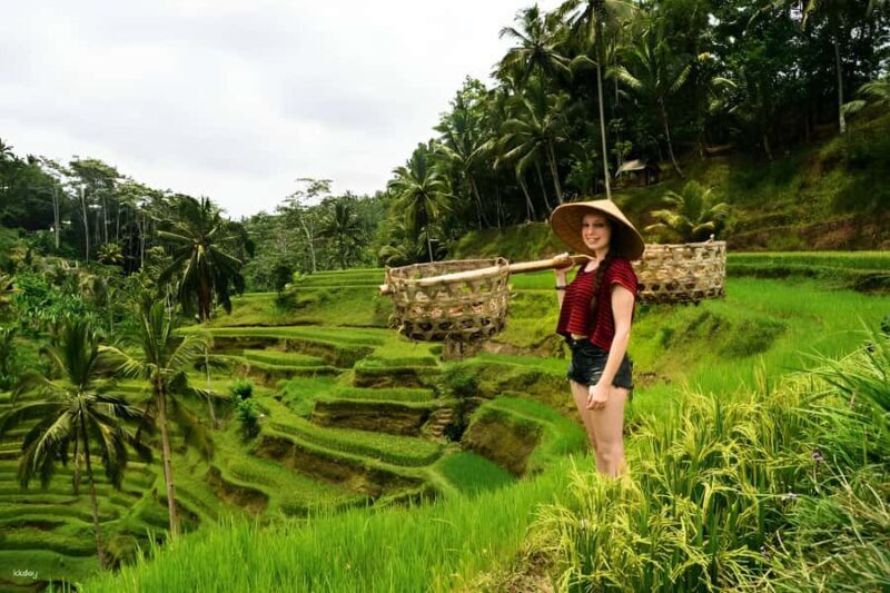 Ubud: 3-Day Tour with Sacred Monkey Forest Sanctuary. - A Deep Dive Into the Ubud 3-Day Experience