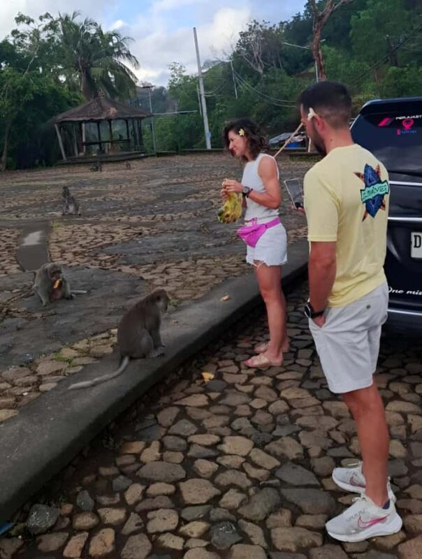 Ubud: 3-Day Tour with Sacred Monkey Forest Sanctuary. - The Sum Up