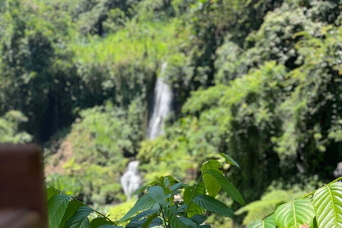 Ubud 4 Waterfall Tour with Private Driver - Who Should Book This Tour?