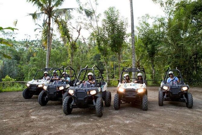 Ubud Activities Buggies Rafting Trekking and Cycling - Pricing and Duration