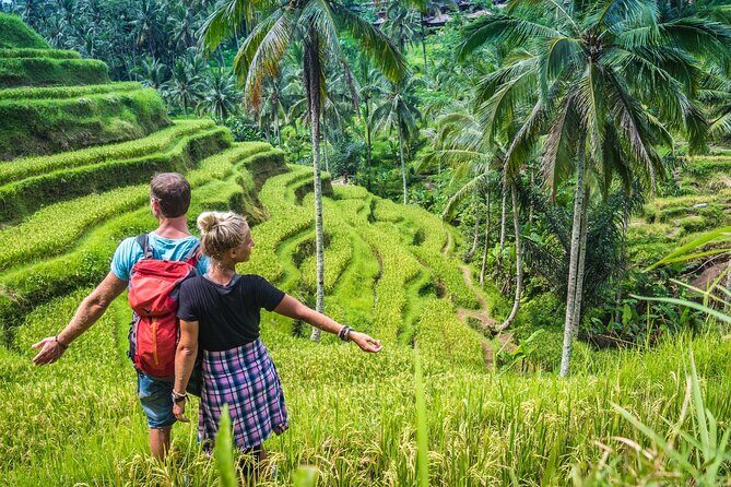 Ubud Adventure All Inclusive Private Day Tour - Who Would Love This Tour?