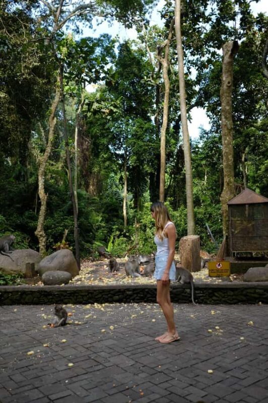 Ubud Adventure: Monkey Forest, Rice Terraces & Waterfalls - Good To Know