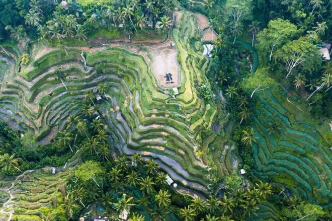 Ubud Adventure: Whitewater Rafting and Cultural Exploration - Itinerary Details