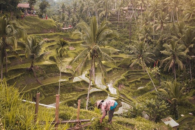Ubud Adventures - Top Attractions in Ubud
