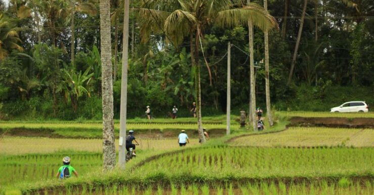 Ubud: Afternoon Cycling Tour With Photographer and Lunch - Activity Details
