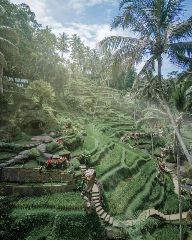 Ubud: Alas Harum Day-Pass, Swing, Sky Bike & Flying Fox - Good To Know