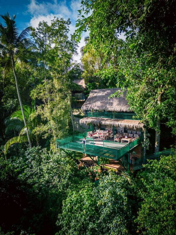 Ubud: Alas Harum Day-Pass, Swing, Sky Bike & Flying Fox - Practical Details & Tips