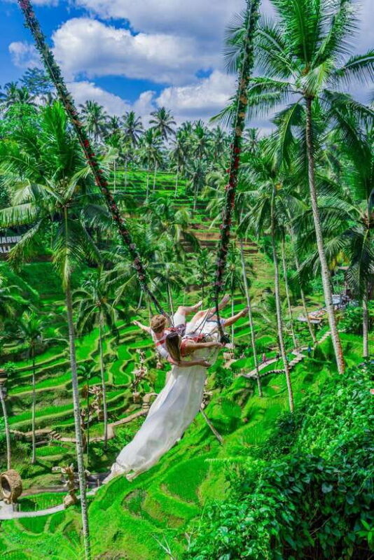 Ubud: Alas Harum Day-Pass, Swing, Sky Bike & Flying Fox - Authentic Insights from Visitors