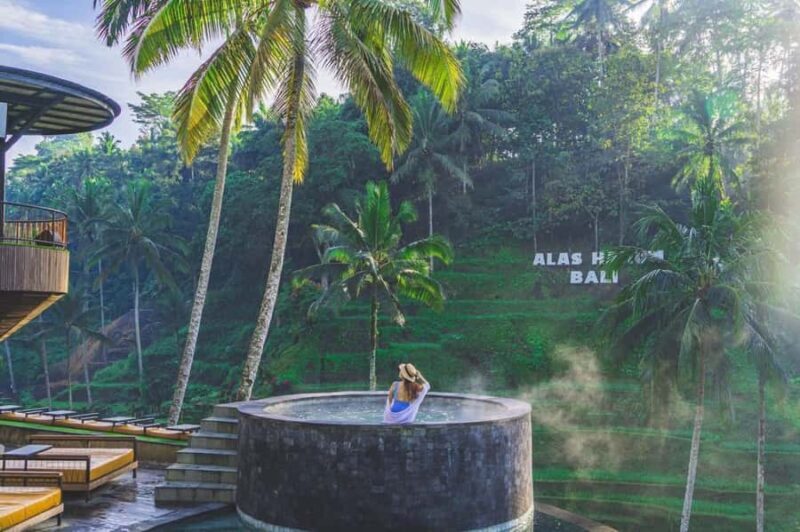 Ubud: Alas Harum, Temple, and Waterfall - Private Tour - What Makes This Tour Stand Out