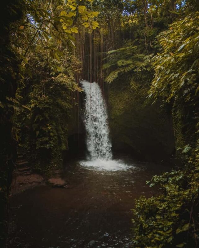 Ubud: Alas Harum, Temple, and Waterfall - Private Tour - Practical Tips for Tour Day