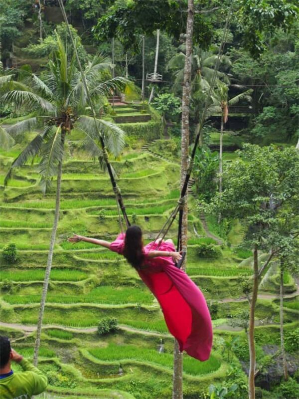 Ubud: Alas Harum, Temple, and Waterfall - Private Tour - Final Thoughts: Is This Tour for You?