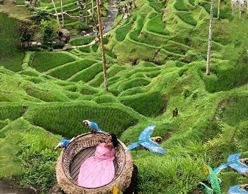 Ubud: Alas Harum, Tirta Empul, Tukad cepung, Dedari - Good To Know