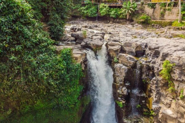 Ubud All-Inclusive Private Day Tour - Booking Process
