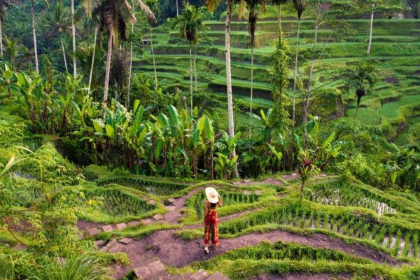 Ubud All-Inclusive Private Day Tour - Customer Reviews and Experiences