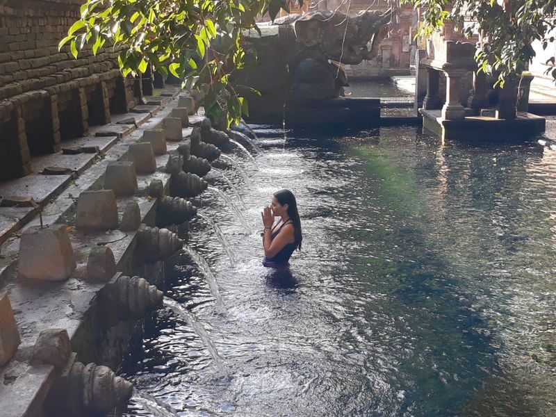 Ubud All-Inclusive Private Day Tour - At a glance: what the Ubud day includes