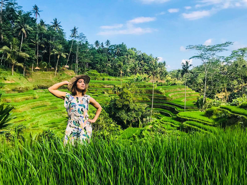Ubud All-Inclusive Private Day Tour - A one-hour lunch break, at your own cost