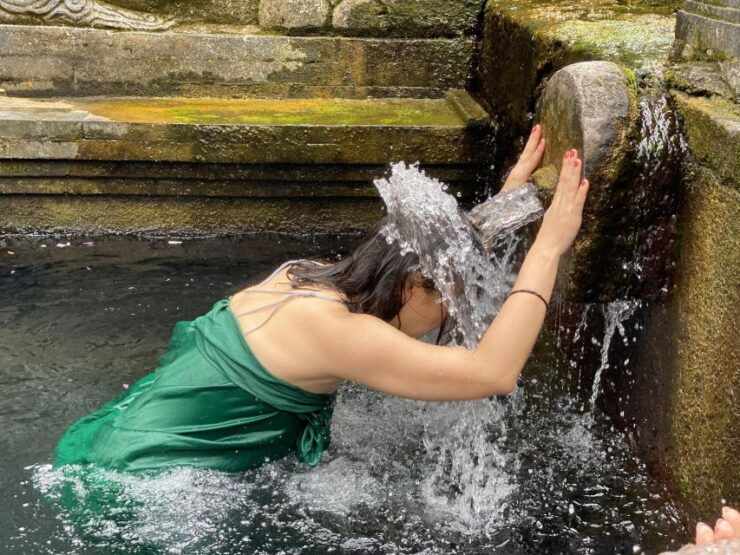 Ubud : All-Inclusive Private Day Tour - Good To Know