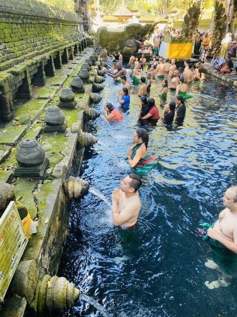 Ubud : All-Inclusive Private Day Tour - Tour Highlights