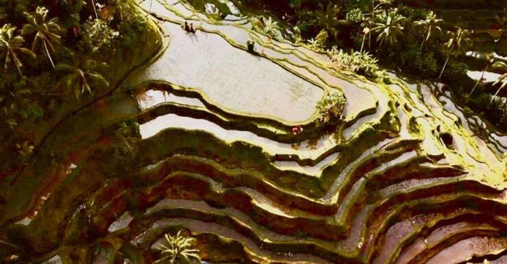 Ubud: All-Inclusive Tour With Optional Lunch - Activity Details