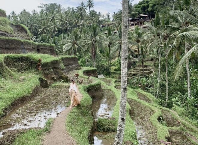 Ubud: All-Inclusive Tour With Optional Lunch - Product Details