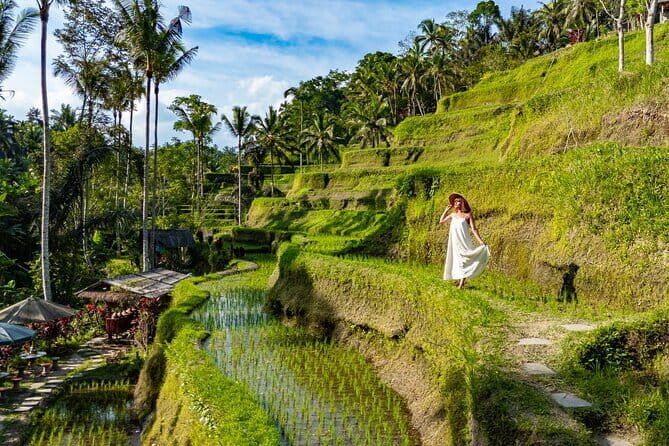 Ubud All-Inclusive Tour with Swing and Lunch - Good To Know