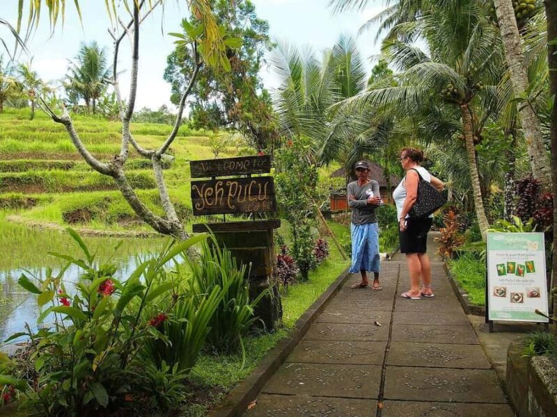 Ubud Ancient Wonders: Goa Garba, Cliff Temple & Yeh Pulu - The Sum Up